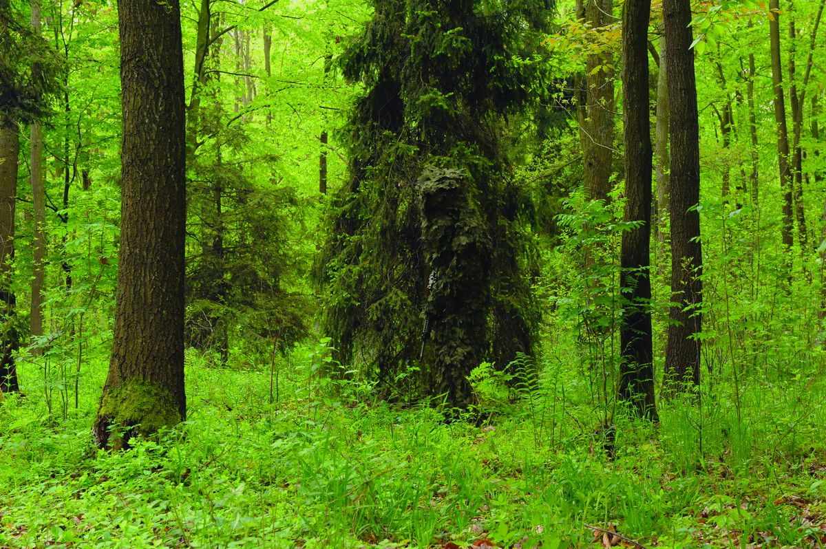 INDIVIDUAL FOREST CAMOUFLAGE SUIT 